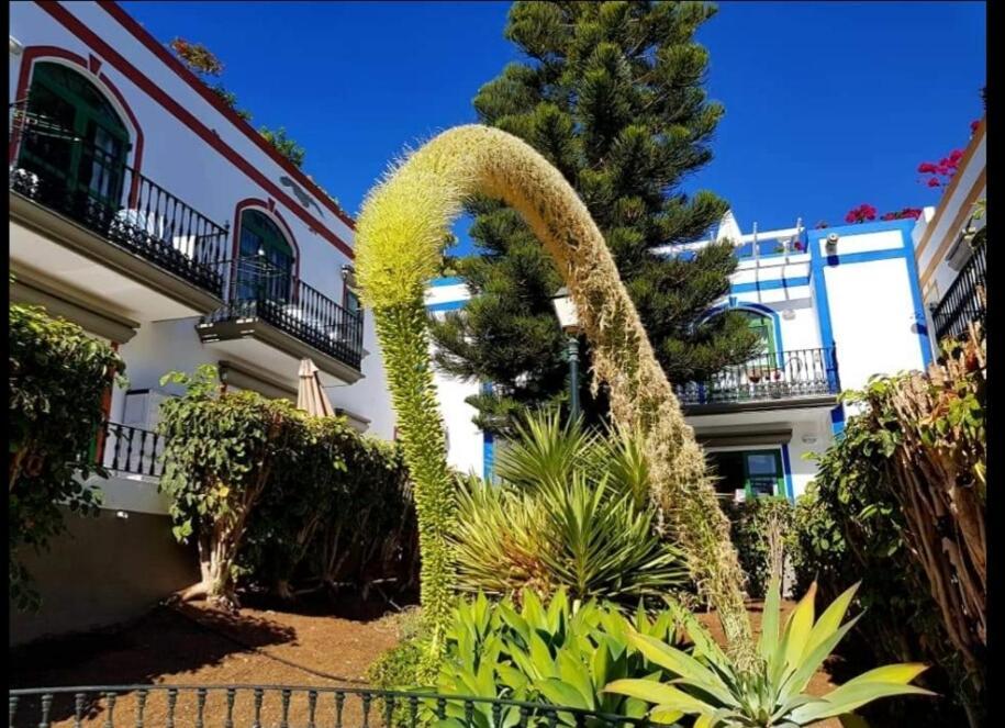 Dailos' Home Puerto De Mogan Εξωτερικό φωτογραφία