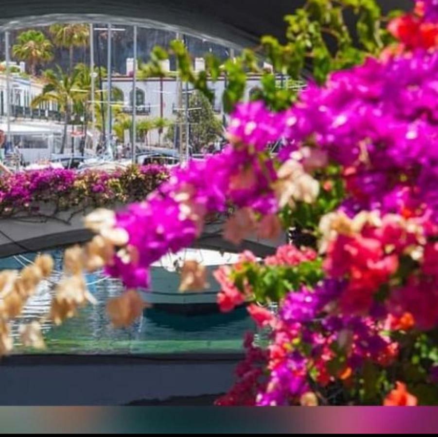 Dailos' Home Puerto De Mogan Εξωτερικό φωτογραφία